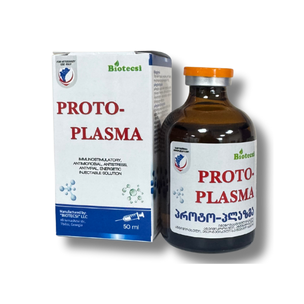 Protoplazma